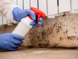 Best Comprehensive Air Testing for Mold Contaminants  in Fussels Corner, FL